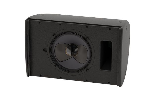 Picture of Martin 12" CDD Speaker  BLACK    Weather Resistant