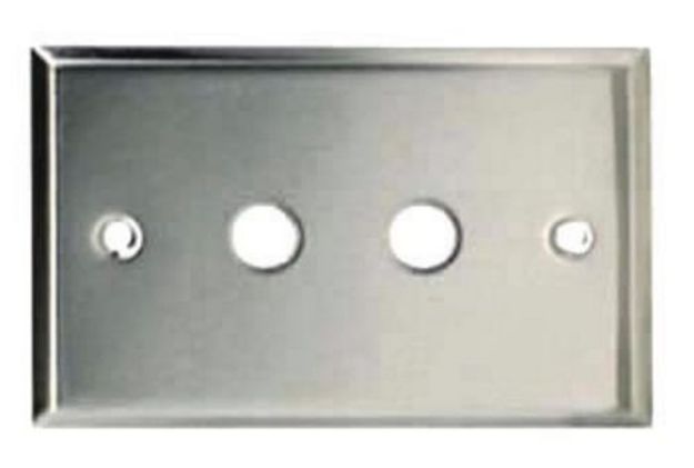 Picture of Wall Connector Plate 2 x RCA Curved Edges STAINLESS