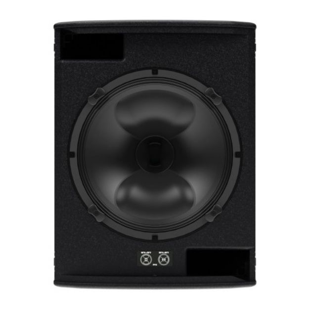 Picture of Martin 15" Passive 2 way FlexPoint enclosure